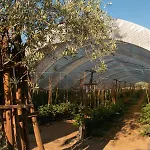 Farm stay Quinta De Santana Da Varzea *