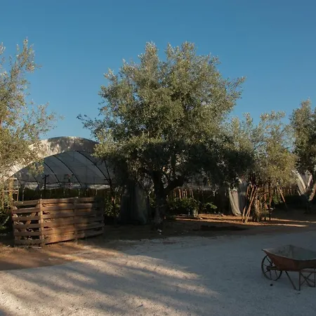 Quinta De Santana Da Varzea Vakantieboerderij *