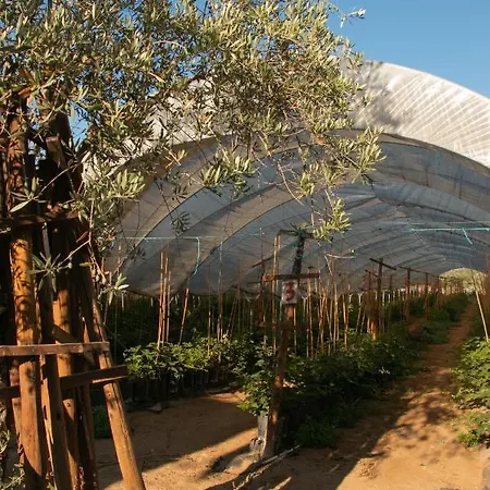 Alojamento de Turismo Rural Quinta De Santana Da Várzea *