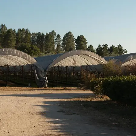 Gospodarstwo agroturystyczne Quinta De Santana Da Varzea *