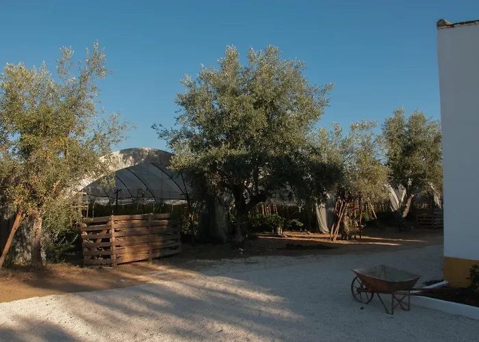 Quinta De Santana Da Varzea Çiftlik konaklama *