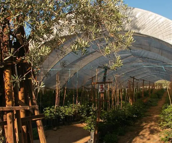 Farm stay Quinta De Santana Da Varzea *