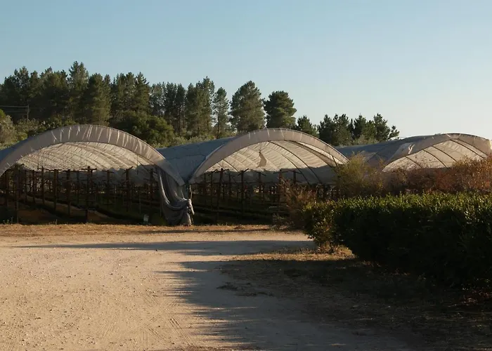 Çiftlik konaklama Quinta De Santana Da Varzea *