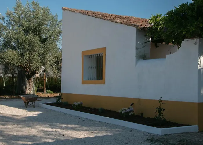 Quinta De Santana Da Varzea * Abrantes