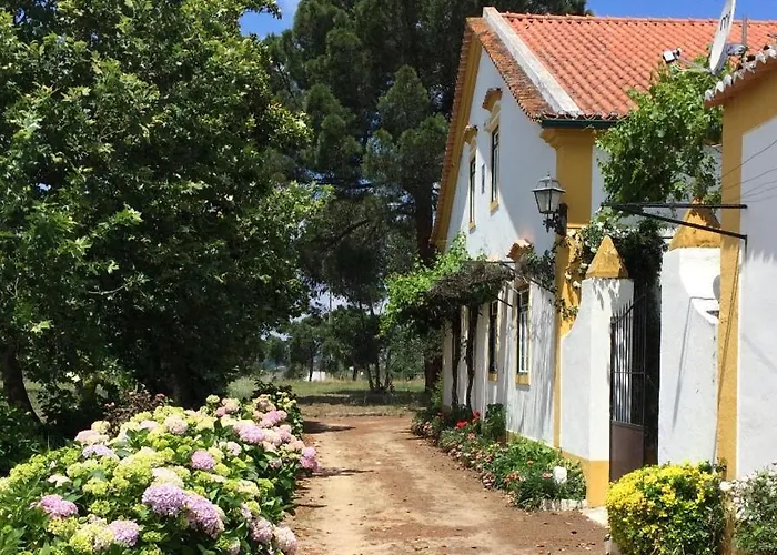 Gospodarstwo agroturystyczne Quinta De Santana Da Varzea Abrantes